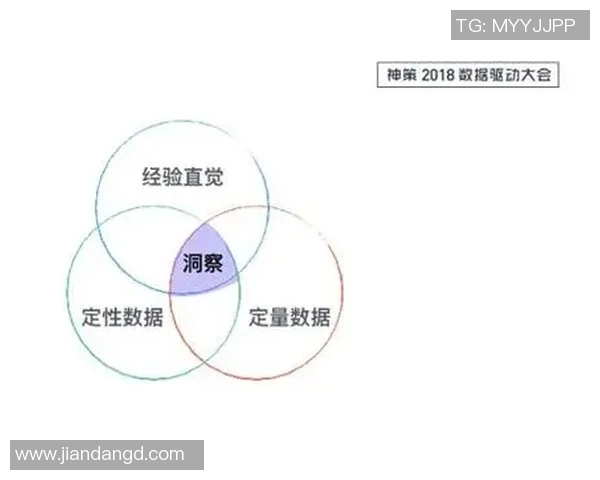 深圳排球队比赛经验分析与数据洞察探讨